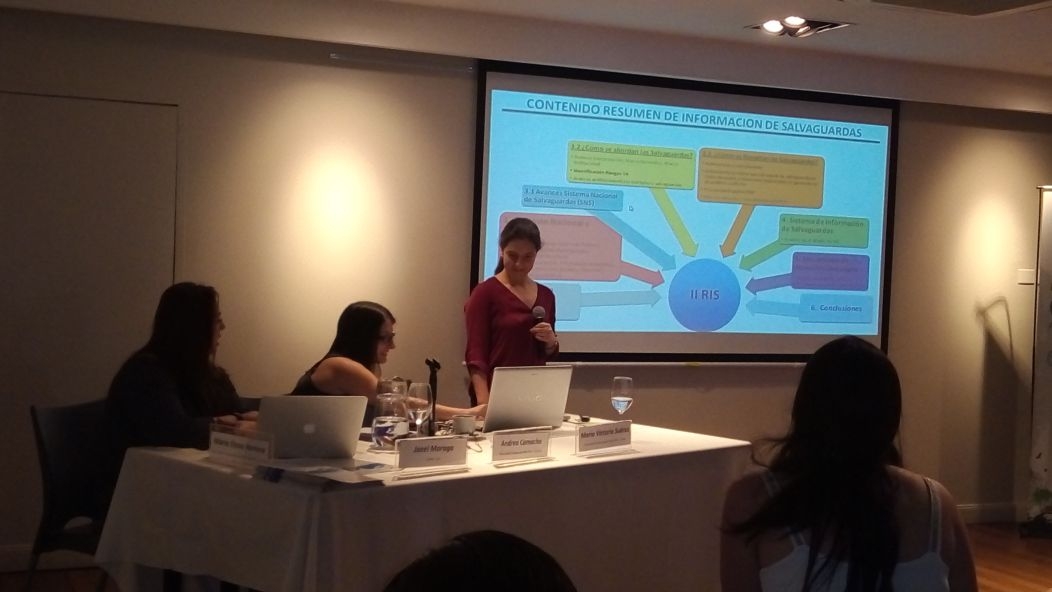 La Defensoría participó del Encuentro de Diálogos sobre Salvaguardas REDD+ convocado por el Programa Nacional ONU