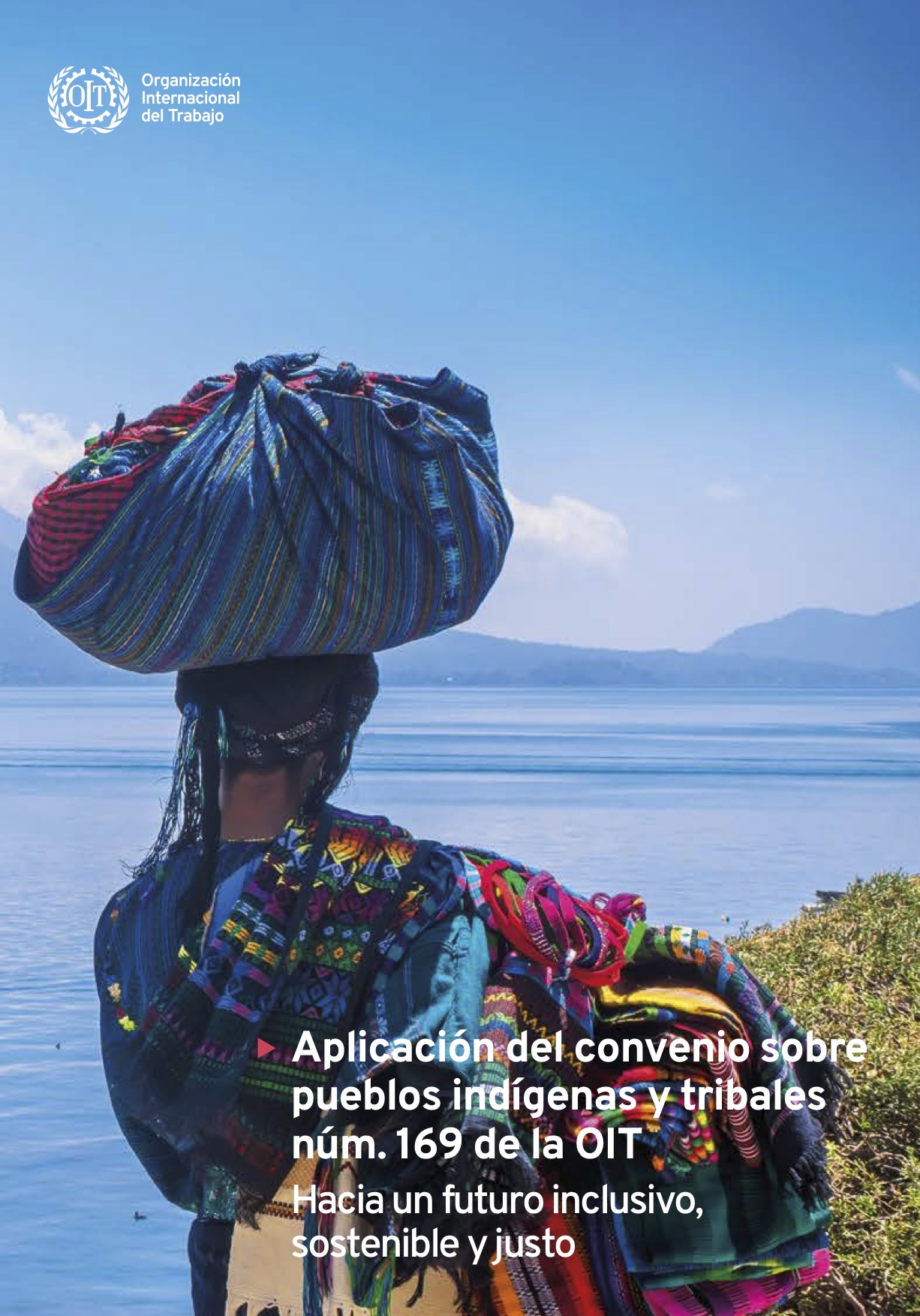 La Defensoría del Pueblo de la Nación participó de la Reunión Virtual de Intercambio entre Defensorías y la Organización Internacional del Trabajo (OIT) sobre la situación de pueblos indígenas ante la crisis humanitaria COVID 19