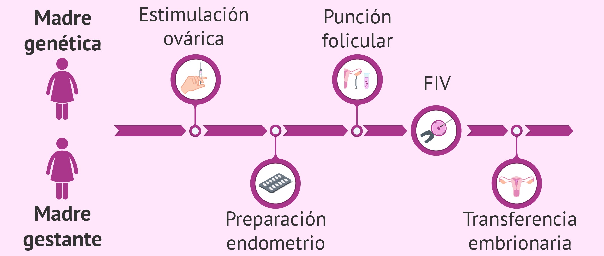 Por intervención de la Defensoría del Pueblo de la Nación, la prepaga FEDERADA SALUD autorizó la cobertura de un tratamiento de fertilización asistida a una pareja de mujeres

